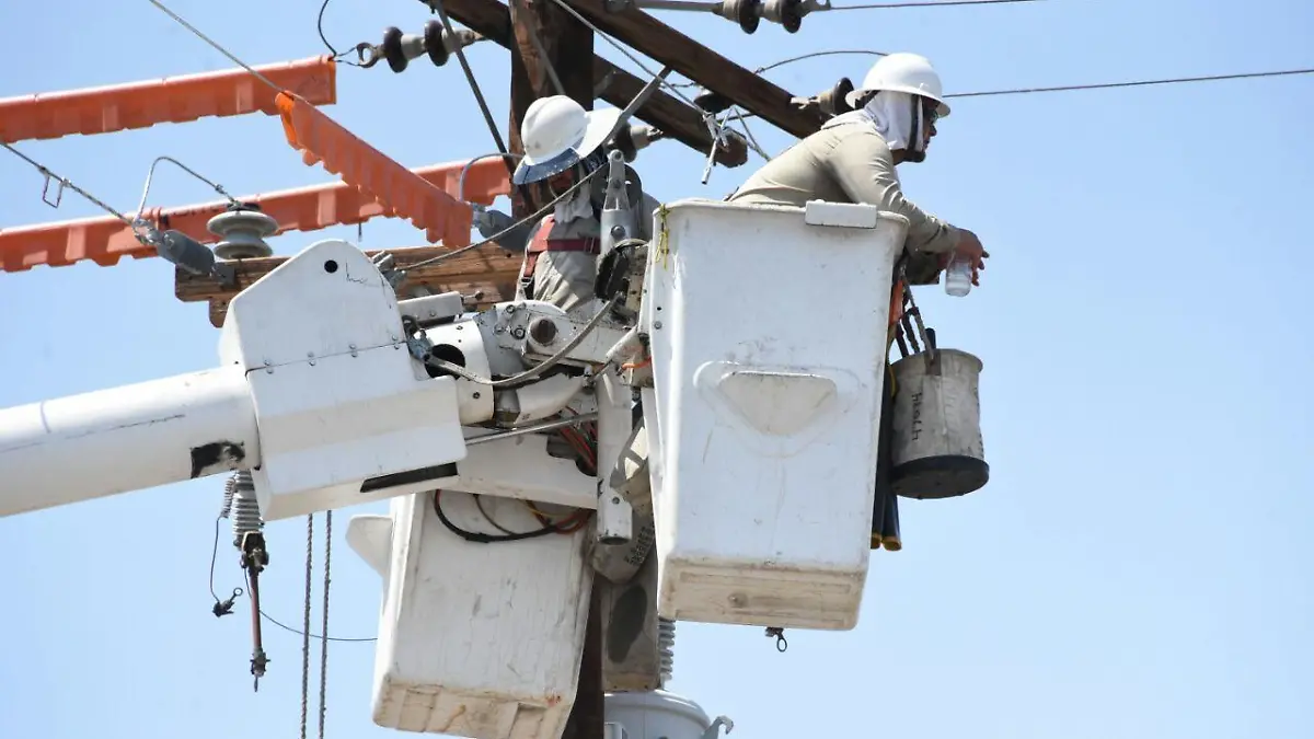 Dos brigadas de Trabajadores C.F